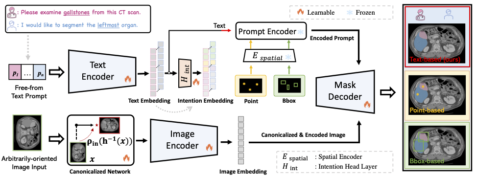 Interpolate start reference image.